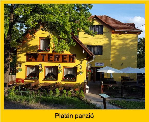 Platan Panzio Hotel Dobogoko Buitenkant foto